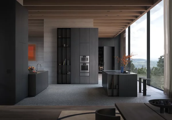 Gaggenau serie Expressive Stekeovn 60 x 60 cm, GO450120/GO451120 - Bilde 4