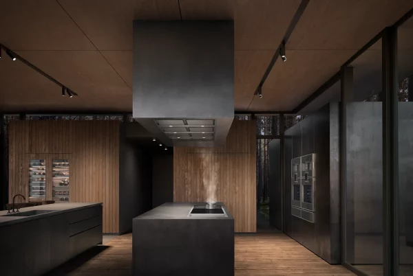 Gaggenau, Serie 400 Takventilasjon 80 cm, AC402181 - Bilde 2